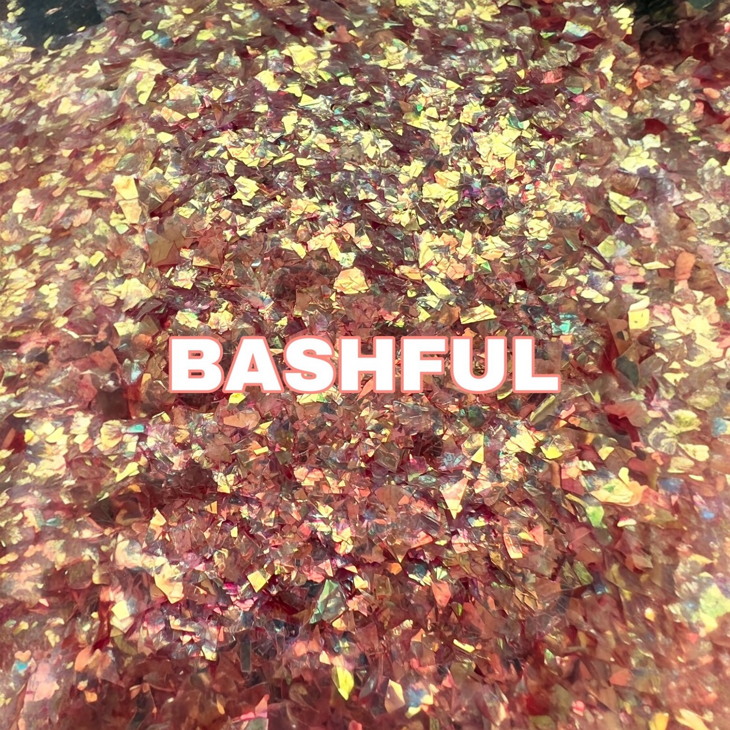 Bashful