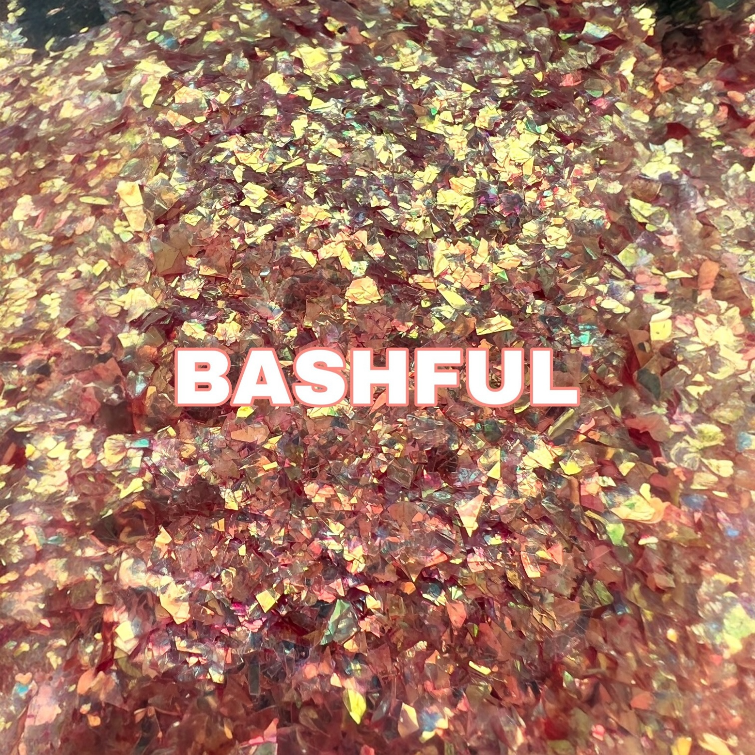 Bashful