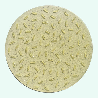 Lemon Zest